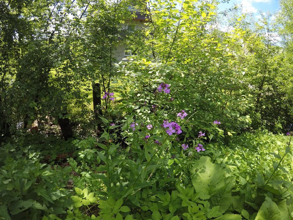 Willa Sunshine Zakopane Chalet Экстерьер фото