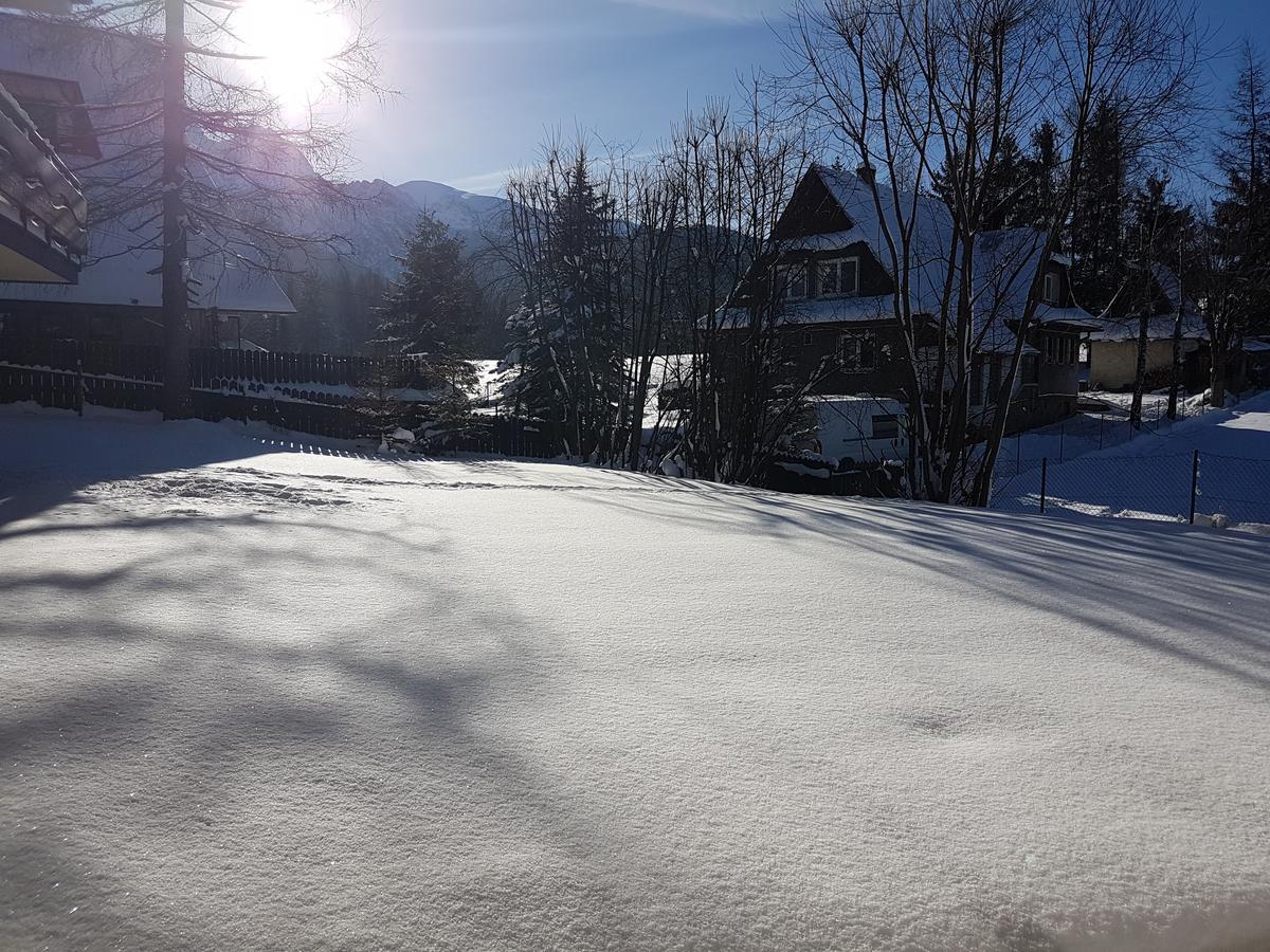 Willa Sunshine Zakopane Chalet Экстерьер фото