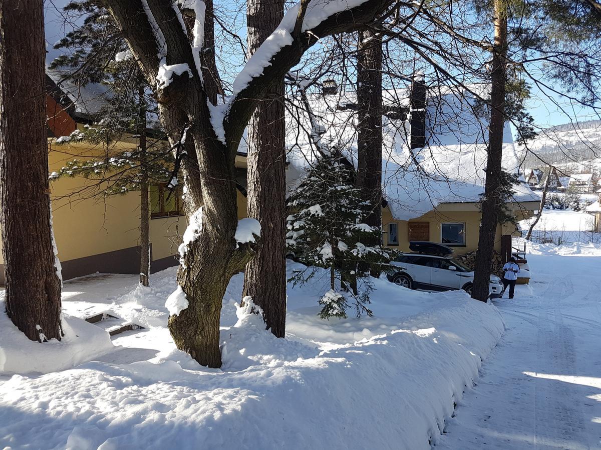 Willa Sunshine Zakopane Chalet Экстерьер фото