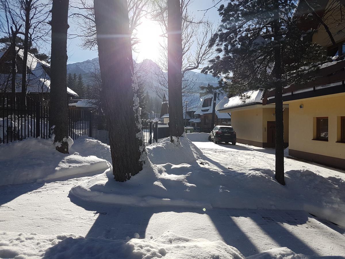 Willa Sunshine Zakopane Chalet Экстерьер фото