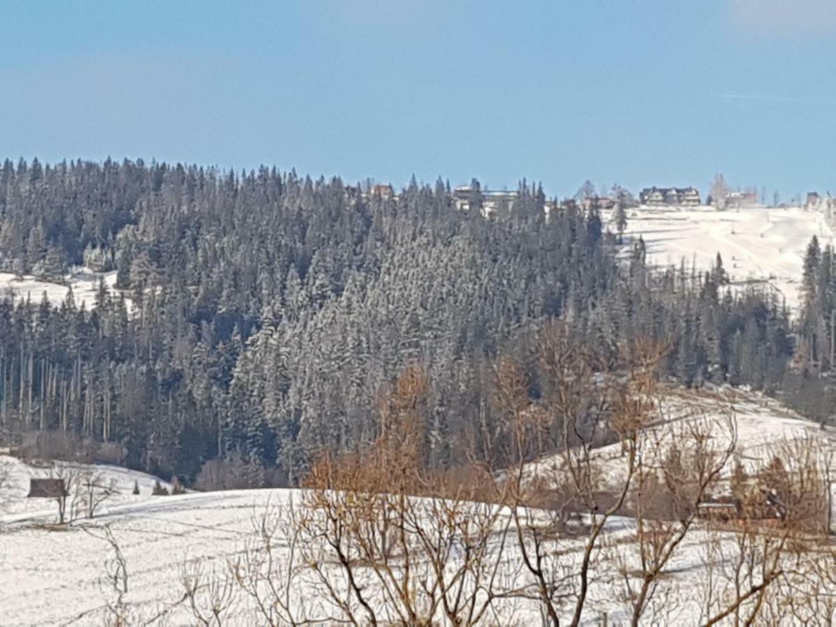Willa Sunshine Zakopane Chalet Экстерьер фото
