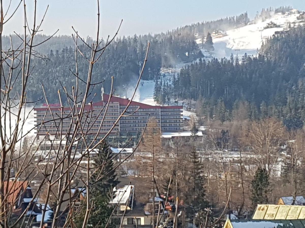 Willa Sunshine Zakopane Chalet Экстерьер фото